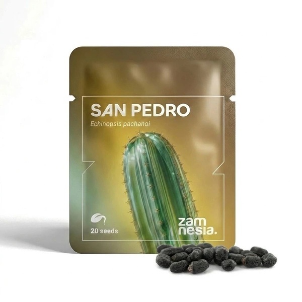 San Pedro (Echinopsis pachanoi) 20 frø