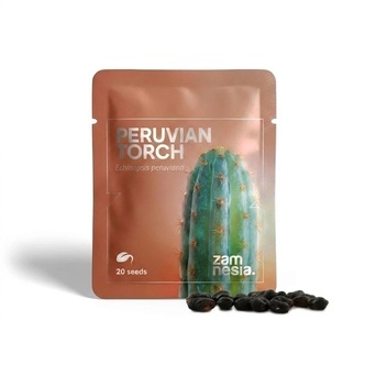 Peruvian Torch (Echinopsis peruviana) 20 fr&oslash;