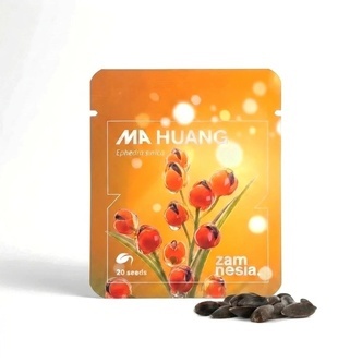 Ma Huang-fr&oslash; (Ephedra sinica) 20 fr&oslash;