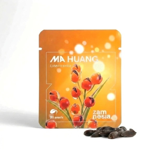 Ephedra (Ma Huang) 20 frø