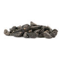Pragtsnerle (Ipomoea tricolor) 10 gram