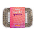 Zamnesia Classic grow kit 'McKennaii'