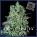 La Rica Classic THC (Elite Seeds) Feminiserede
