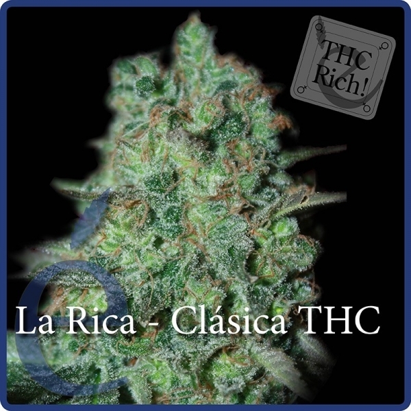 La Rica Classic THC (Elite Seeds) Feminiserede
