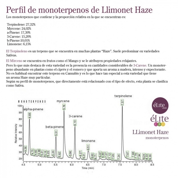 Llimonet Haze Classic THC (Elite Seeds) Feminiserede