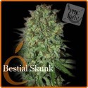 Bestial Skunk (Elite Seeds) Feminiserede