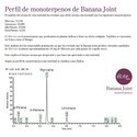 Banana Joint (Elite Seeds) Feminiserede