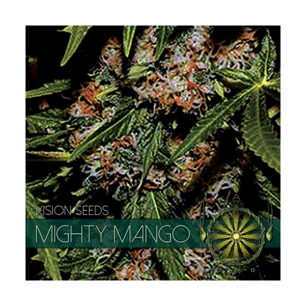 Mighty Mango Bud (Vision Seeds) Feminiserede