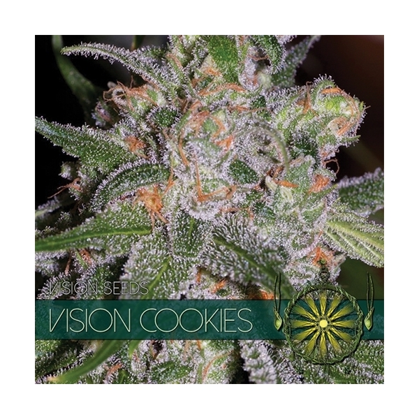 Vision Cookies (Vision Seeds) Feminiserede