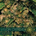 Vision Critical Autoflowering (Vision Seeds) Feminiserede