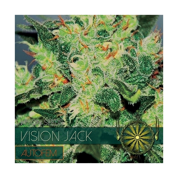 Vision Jack Autoflowering (Vision Seeds) Feminiserede