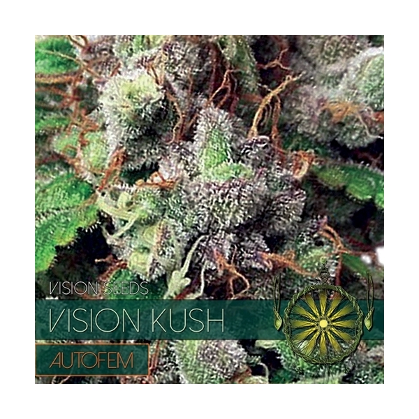 Vision Kush Autoflowering (Vision Seeds) Feminiserede