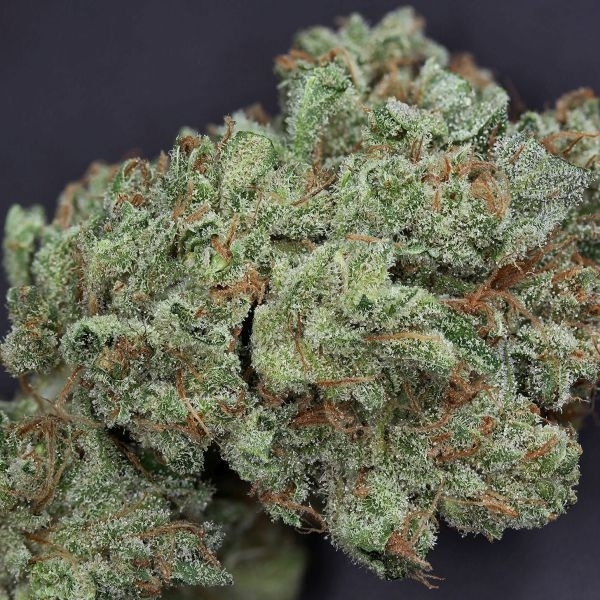 Ghost Train Haze 1 (Rare Dankness)
