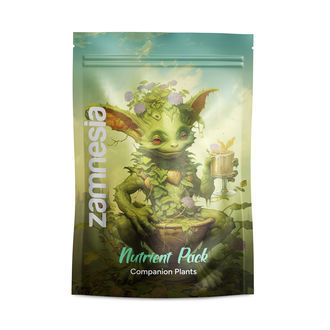 Buddy Mix Pack N&AElig;RING
