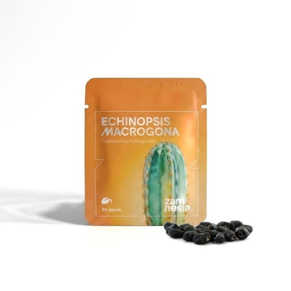 Echinopsis macrogona (Trichocereus macrogonus) 20 frø