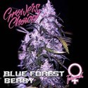 Blue Forest Berry (Growers Choice) Feminiserede