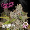 Monkey Glue (Growers Choice) Feminiserede