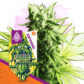 Sticky Beast (Zamnesia Seeds) feminiserede