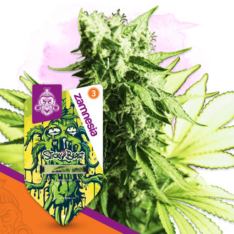 Sticky Beast (Zamnesia Seeds) Feminiserede