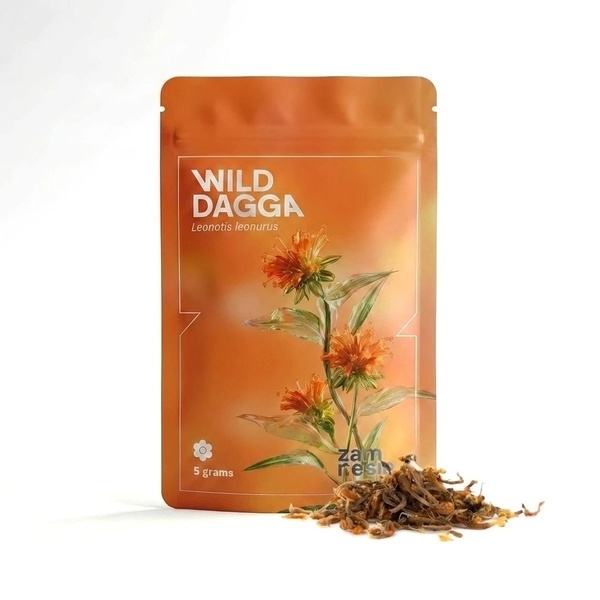 Wild Dagga | Leonotis leonurus