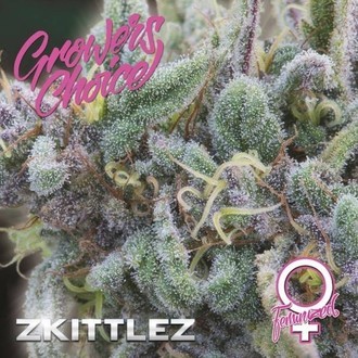 Zkittlez (Growers Choice) Feminiserede