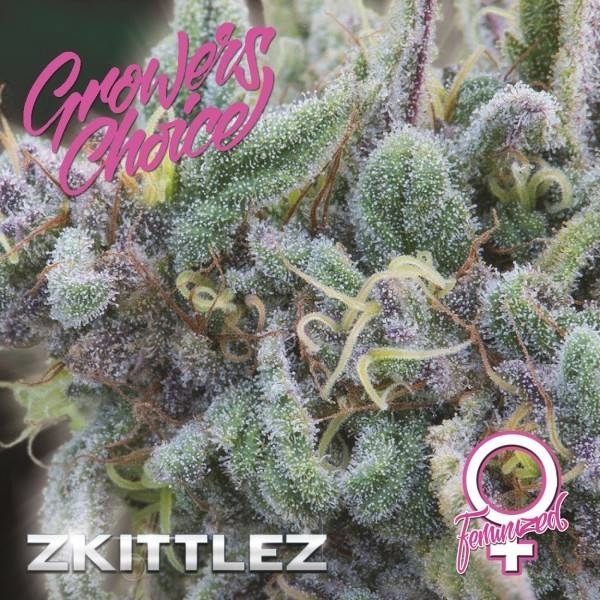 Zkittlez (Growers Choice) Feminiserede