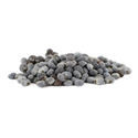 Valmue (Papaver somniferum) 5 gram