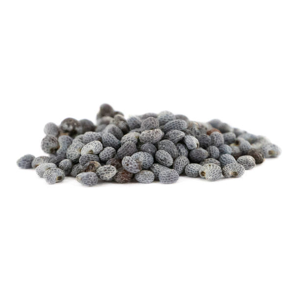 Valmue (Papaver somniferum) 5 gram