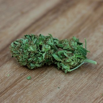 Sweet Harlem Diesel (Sumo Seeds) Feminiserede