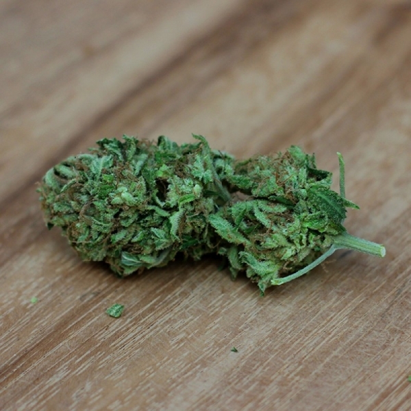 Sweet Harlem Diesel (Sumo Seeds) Feminiserede