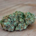 Appleberry (Sumo Seeds) Feminiserede