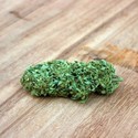 Berries & Cheese (Sumo Seeds) Feminiserede