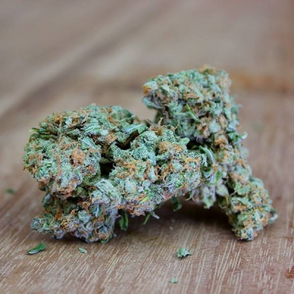 Ultimate AK (Sumo Seeds) Feminiserede