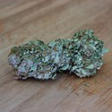 White Widow Original (Sumo Seeds) Feminiserede