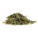 Rosmarin (Rosmarinus officinalis) 20 gram