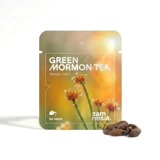 Gr&oslash;n mormon-te | Ephedra viridis-fr&oslash;