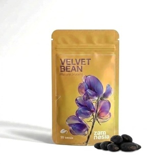 Fl&oslash;jlsb&oslash;nne | Mucuna pruriens