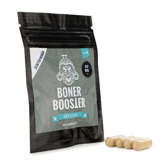 Rejsningsbooster