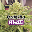 Godzilla Glue (Dr. Underground) Feminiserede