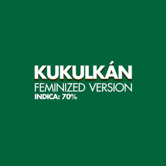 Kukulkan (Pyramid Seeds) Feminiserede