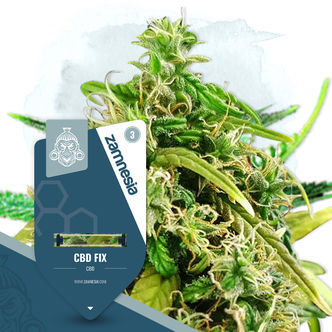 CBD Fix (Zamnesia Seeds) Feminiserede