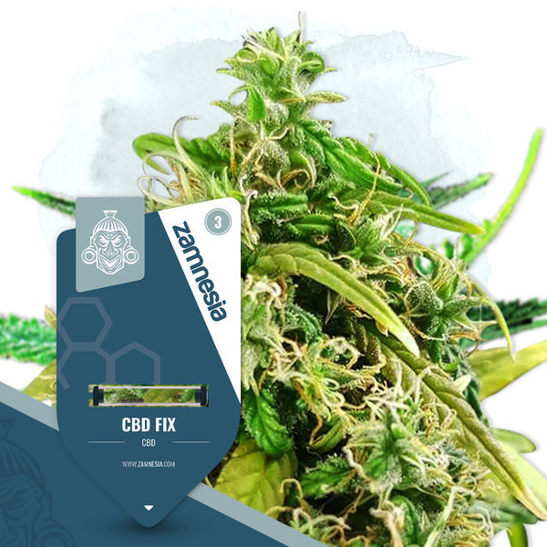 CBD Fix (Zamnesia Seeds) Feminiserede