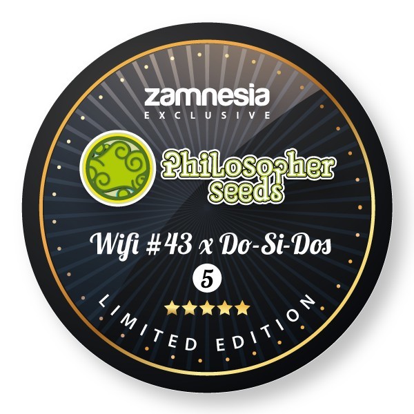 Wifi 43 x Do-Si-Dos (Philosopher Seeds x Zamnesia) Feminiserede