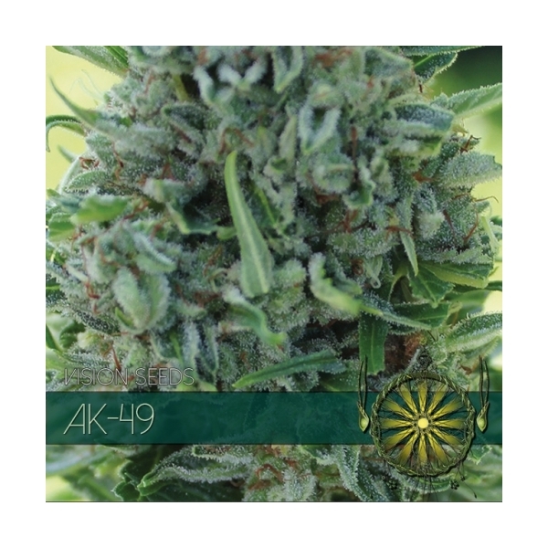 AK-49 (Vision Seeds) Feminiserede