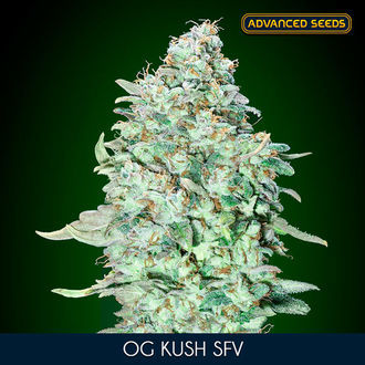 OG Kush SFV (Advanced Seeds) Feminiserede