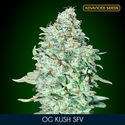 OG Kush SFV (Advanced Seeds) Feminiserede