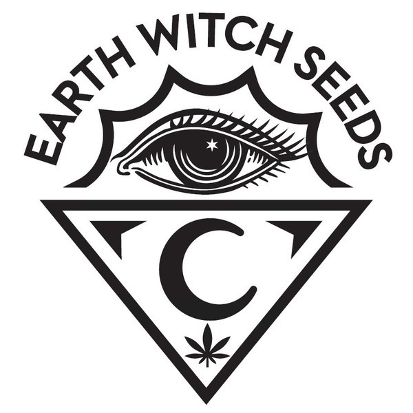 Marula (Earth Witch Seeds) regulær