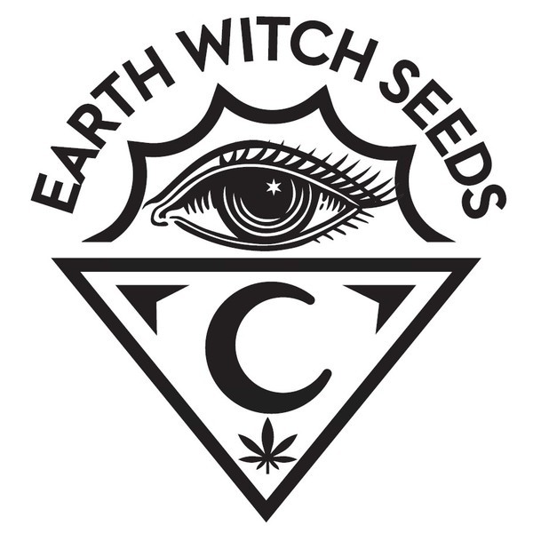 Pumpkin Punch (Earth Witch Seeds) regulær