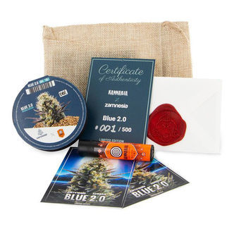 Blue 2.0 (Kannabia x Zamnesia) feminiserede cannabisfr&oslash;