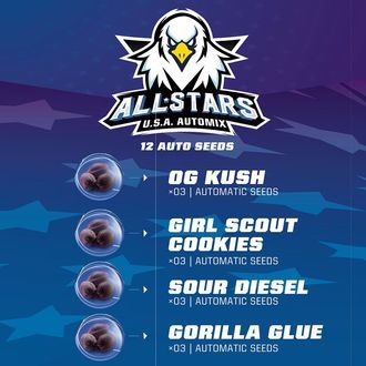 All Stars USA Automix (BSF Seeds) Feminiserede